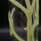 Tree Glass Bong - Glows In the Dark