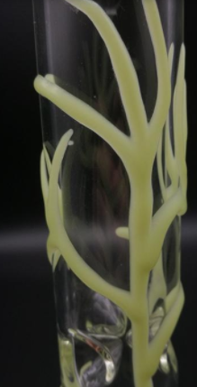 Tree Glass Bong - Glows In the Dark
