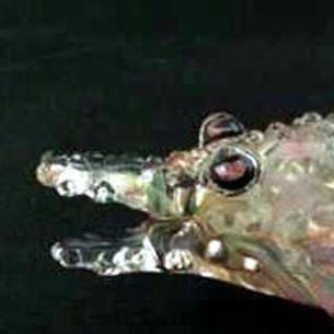 "Crazy Crocodile" Glass Pipes Cool Glass Smoking Pipe Pipes Smoking Pipes Hand Pipe for Smoking Tobacco Pipe 6.2'' inches Portable Pipes