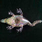 "Crazy Crocodile" Glass Pipes Cool Glass Smoking Pipe Pipes Smoking Pipes Hand Pipe for Smoking Tobacco Pipe 6.2'' inches Portable Pipes
