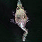 "Crazy Crocodile" Glass Pipes Cool Glass Smoking Pipe Pipes Smoking Pipes Hand Pipe for Smoking Tobacco Pipe 6.2'' inches Portable Pipes