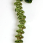 Skull Dabber Green